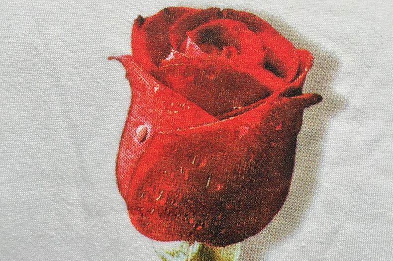 cuatricomia textil