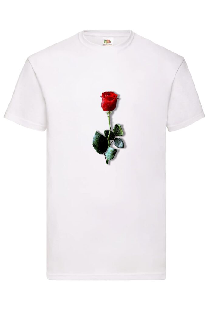 tmp-sant-jordi-rosa-home.jpg