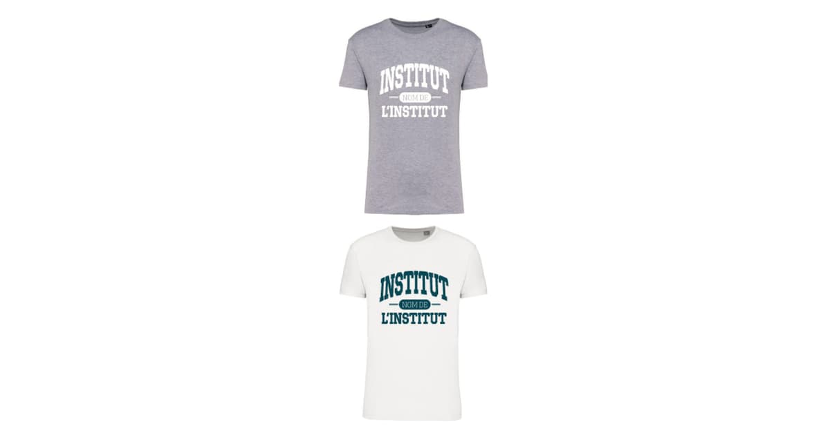 Camiseta instituto personalizada